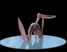Pterodaustro-feeding-gif