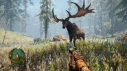 Irish Elk as seen in Far Cry Primal