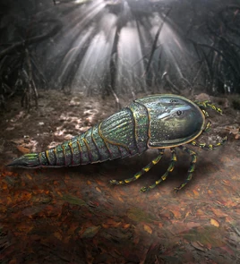 Image 10567e-Woodwardopterus-freemanorum