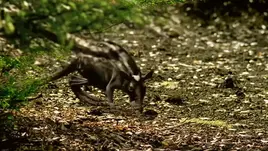 Static-assets-upload5348023254398068501