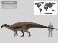 Comptonatus by PaleoHistoric