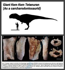 New giant kem kem theropod deform2018