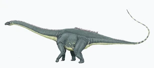 Diplodocus carng1DB