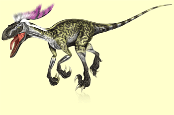 Reconstruction of a feathered Deinonychus antirrhopus. The morphology