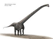 Mamenchisaurus youngi steveoc 86