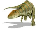 Carcharodontosaurus