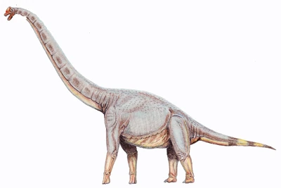 105 Sonorasaurus