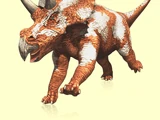 Diceratops