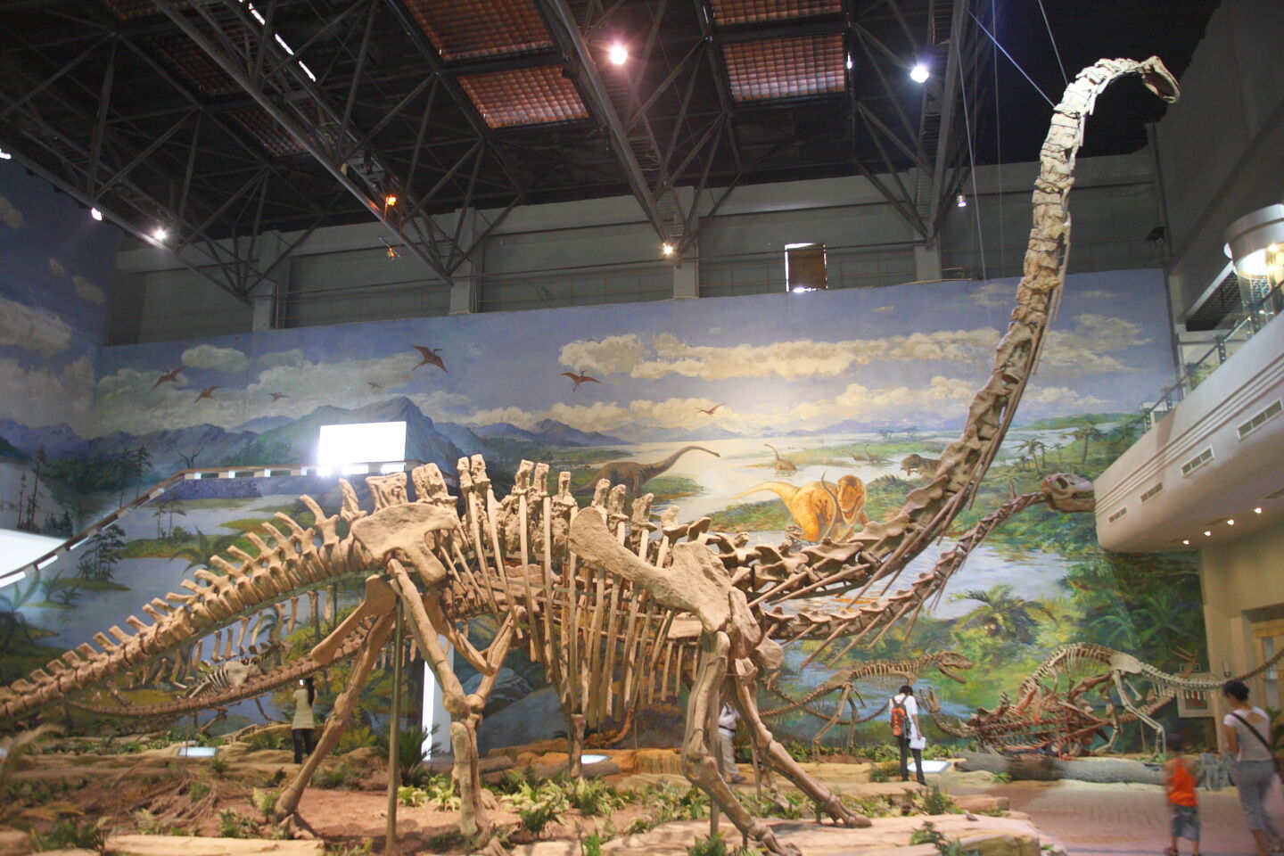 mamenchisaurus skeleton