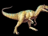 Allosaurus