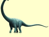 Brachiosaurus