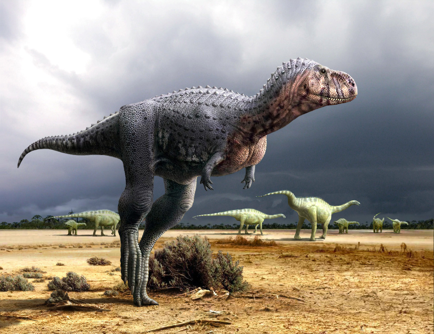Ozraptor | Dinosaursofworld Wiki | Fandom