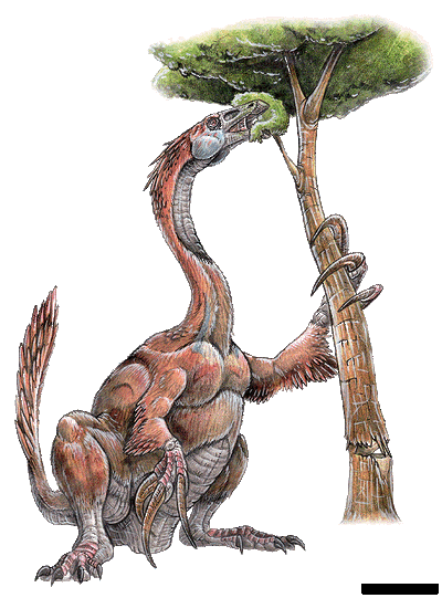 Therizinosaurus cheloniformis-1