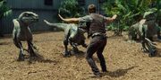 JurassicWorldKoulutetutRaptorit