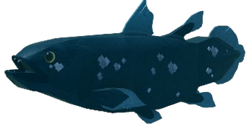 Coelacanthシーラカンス SWIM STANCE CHANGE 2枚 Koichi Sakamoto - シーラカンス (Coelacanth) | Japanese Prints