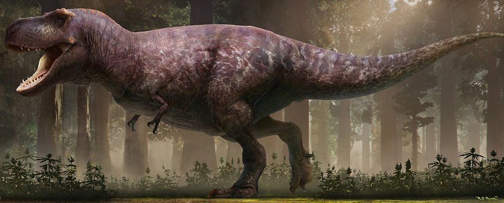 Like Godzilla, but actually real': study shows T. rex numbered 2.5 billion