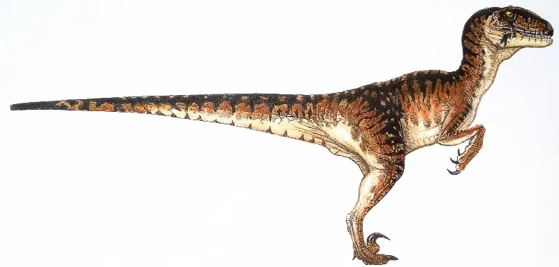 Mascote de dinossauro roxo e verde com um grande focinho