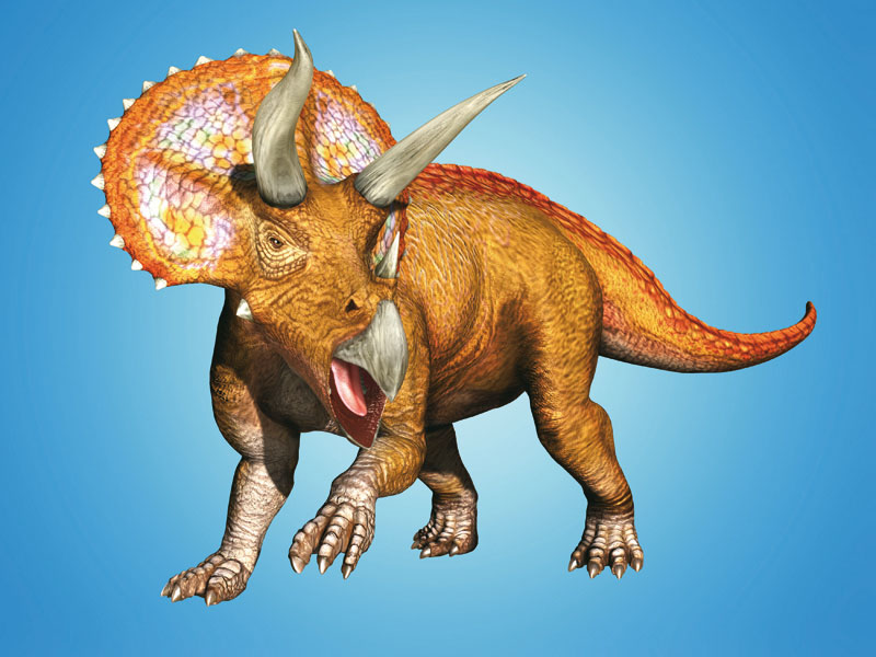 Triceratopo, Dinossauro Rei Wiki