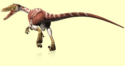 Dinossauro Rei, Wiki