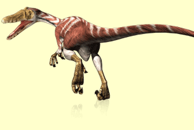 Acrocantossauro, Dinossauro Rei Wiki