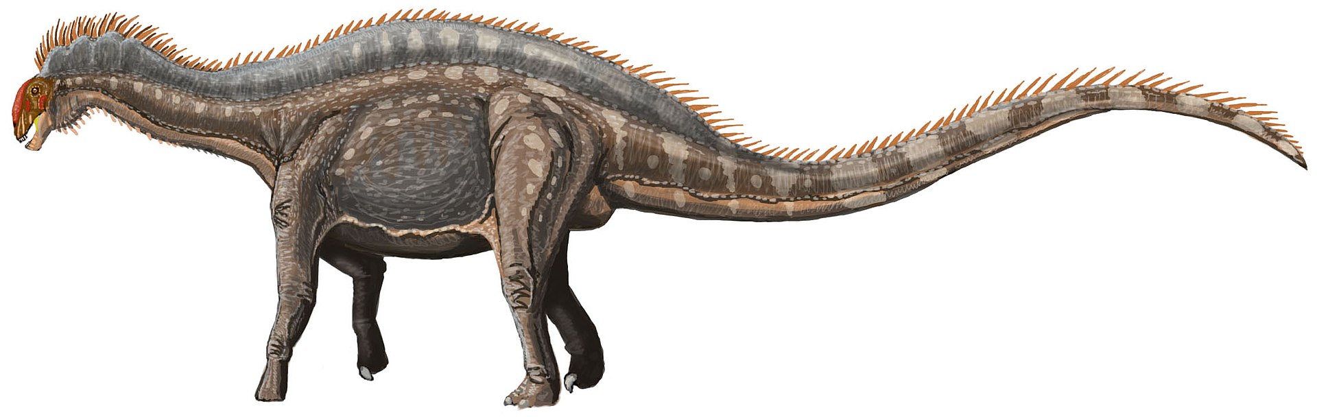 Giganotossauro (Jurassic World), Wikia Liber Proeliis