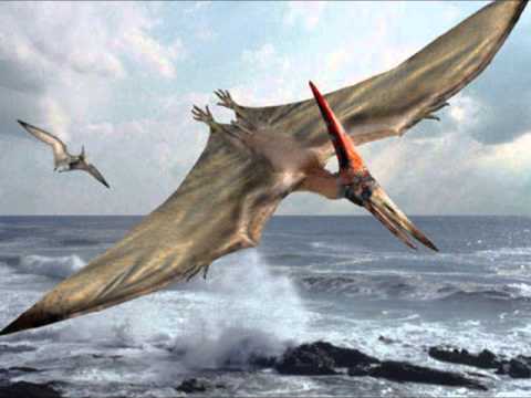 Mundo Pré-Histórico: Pteranodonte