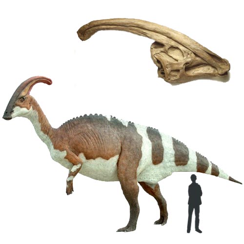 Parasaurolophus dino. dinossauro extinto com crista craniana ou