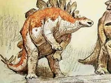 Stegosaurus