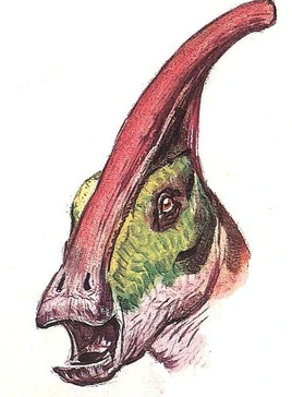 Parasaurolophus