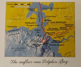 The seafloor near Dolphin Bay