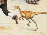 Compsognathus