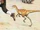 Compsognathus