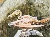 Pterodactylus