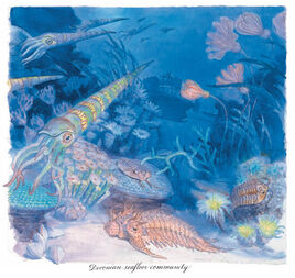 Devonian Seafloor
