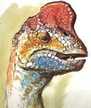 The head of an Ovinutrix working at Romano's Hatchery.