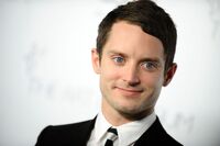 Elijah Wood Face