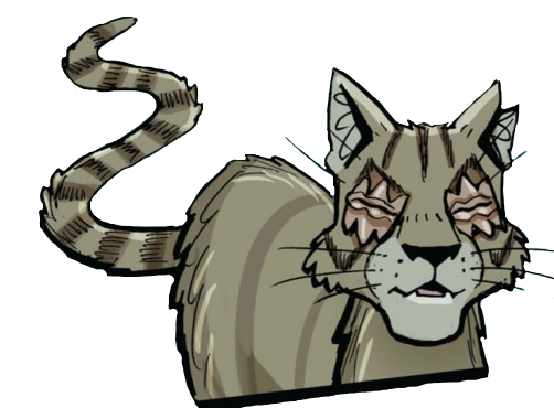 Warrior Cats Longtail