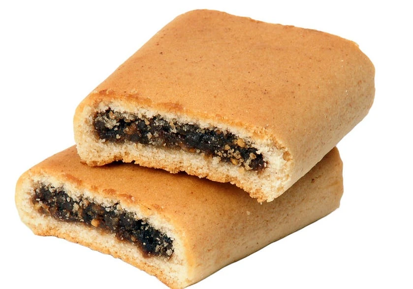 Apple Newtons Discontinued Foods Wiki Fandom