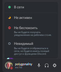 Дискорд статус. Дискорд пользовательский статус. Статусы для дискорда. Не беспокоить статус Дискорд. Невидимый статус в дискорде.