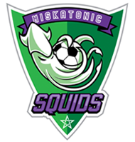 Our squid logo