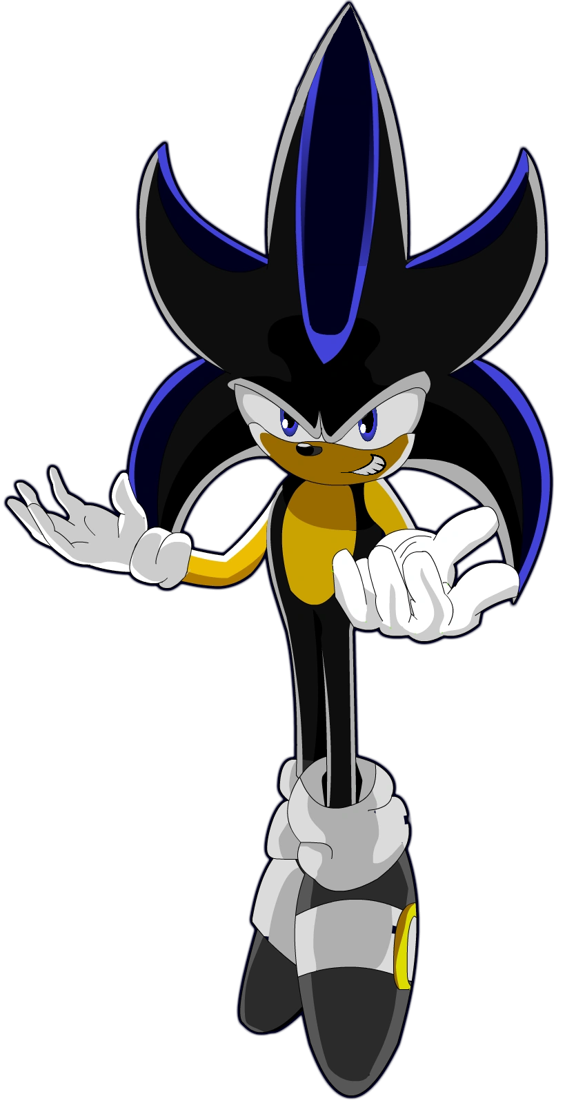 Seelkadoom the Hedgehog DS Wiki Fandom