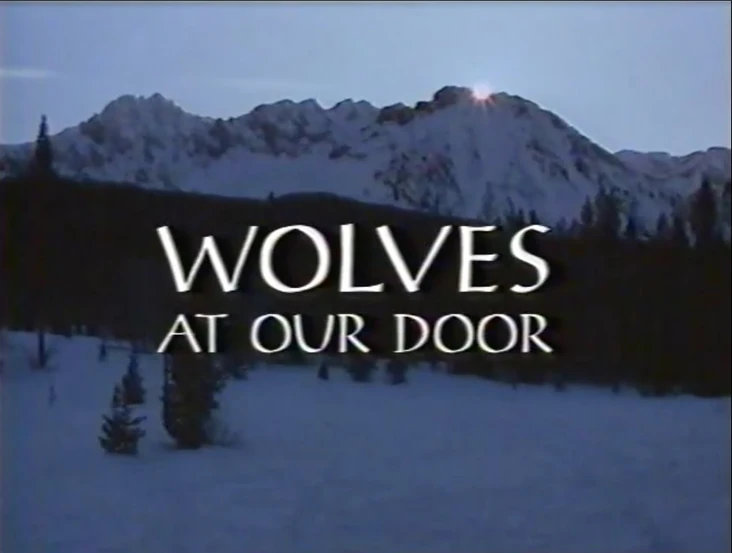 その他 Living With Wolves &amp; Wolves at Our Door [DVD] Living With Wolves and Wolves at Our Door DVD Discovery