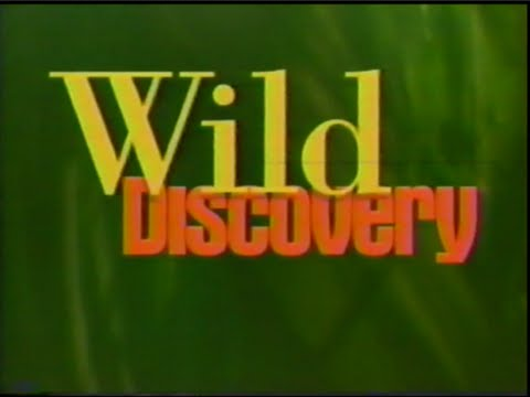 discovery channel tv shows