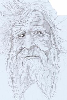 Bilias skarmer
