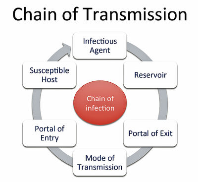 Chain of Transmission