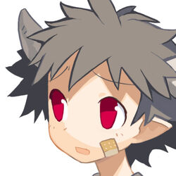 List Of Disgaea 2 Classes Disgaea Wiki Fandom