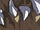 D3 Dragon Zombie Cut-In.jpg