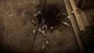 死亡的帕欧罗变成鼠群