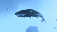 A whale spotted in the Void.