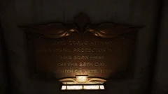 帕洛玛·阿塔诺的日记